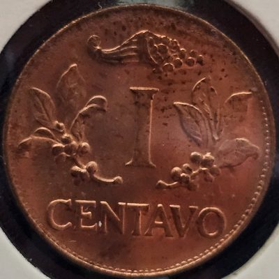 anverso de la variedad 1, foto de Colección propia