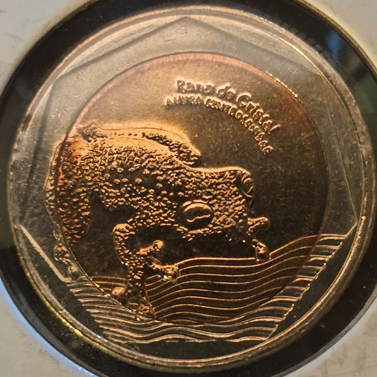 Reverso de 500 pesos, foto de Colección propia (Foto propia)